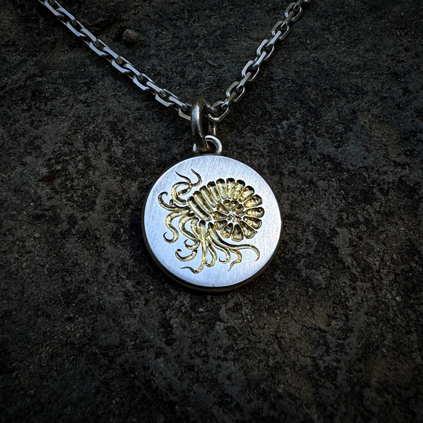 Ammonite