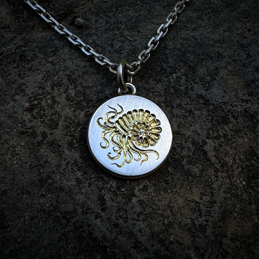 Ammonite